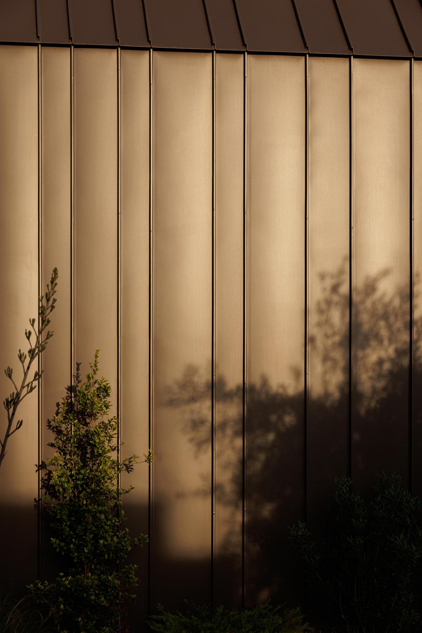 Exterior: Detalhe da fachada com revestimento metálico castanho e vegetação. — House SM arquitetura Mário Alves Arquitecto em Ílhavo