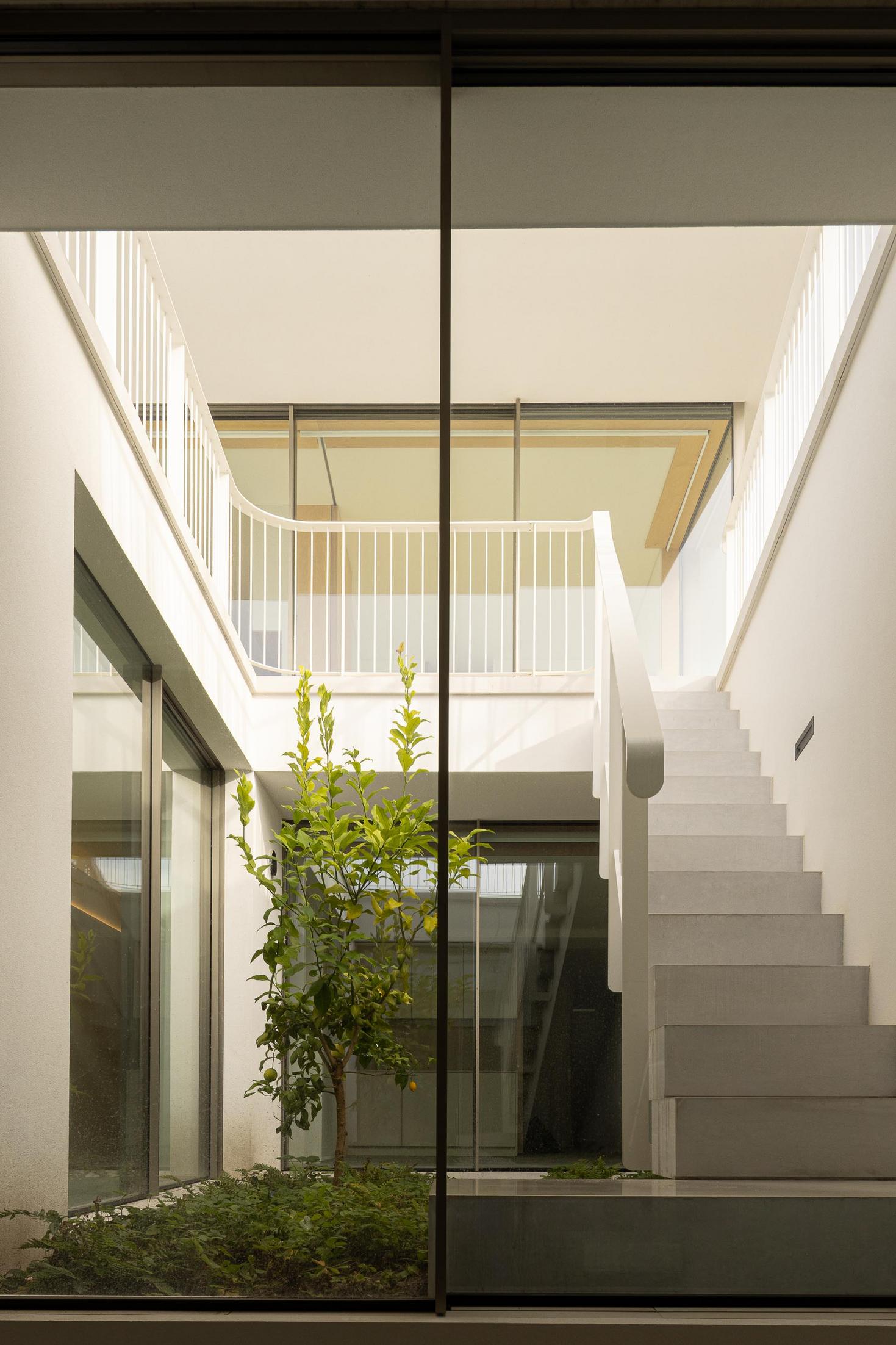 Pátio interior: Vista através da janela para o pátio interior com escada em espiral e vegetação. — WEST CLIFFS D45 arquitetura ARX Portugal - Arquitectos em Óbidos