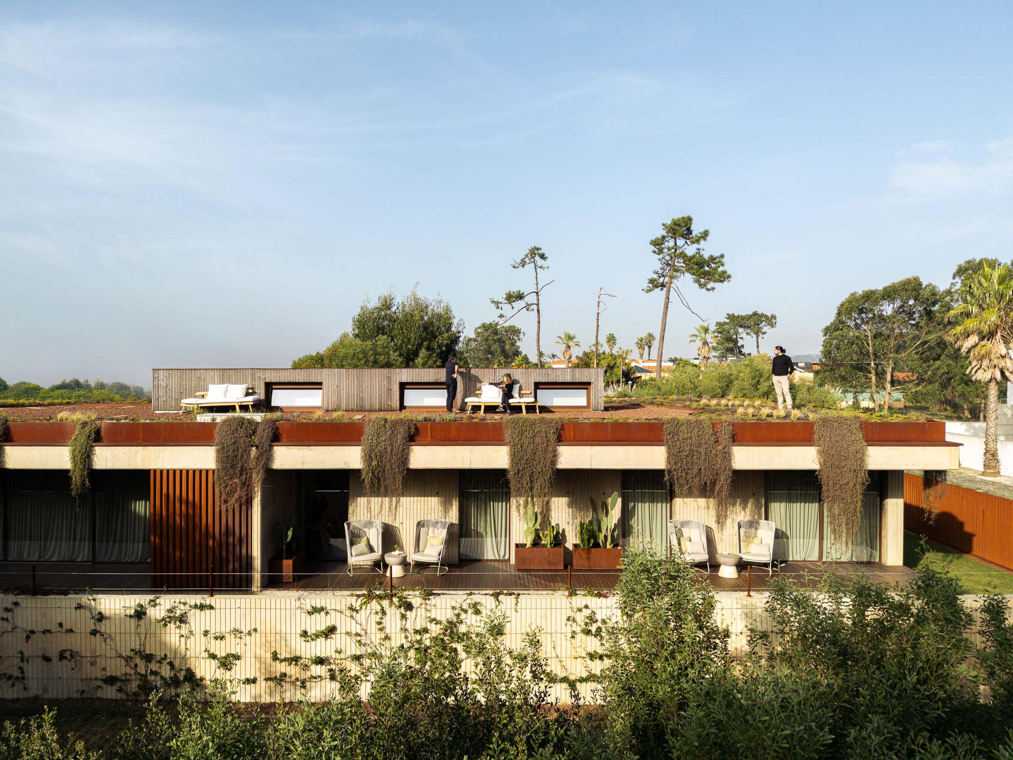 Fachada da casa com varanda, vegetação pendente, cadeiras de exterior e telhado ajardinado. — Mimosa House arquitetura Pedro Henrique Arquitecto em Esmoriz