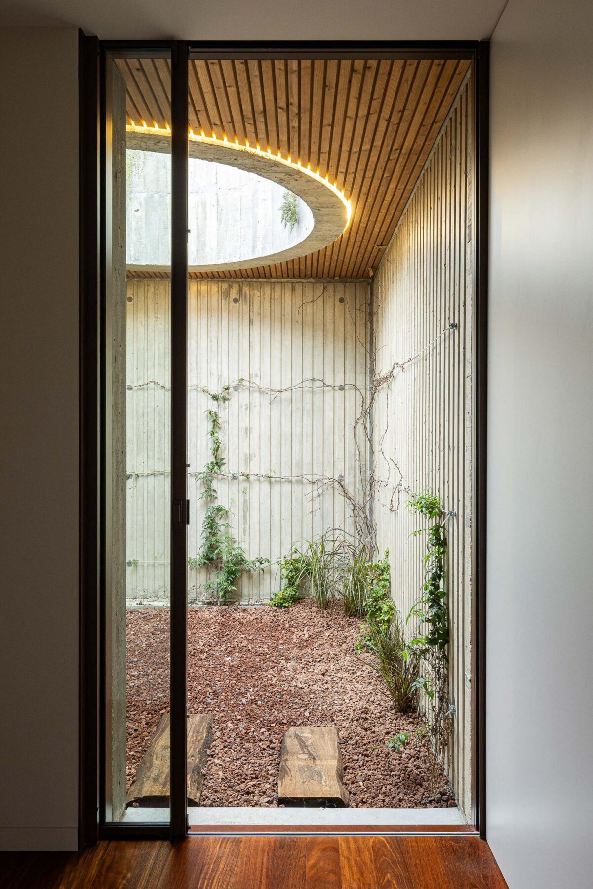 Pátio interior com paredes em betão aparente, teto ripado e vegetação rasteira. — Mimosa House arquitetura Pedro Henrique Arquitecto em Esmoriz