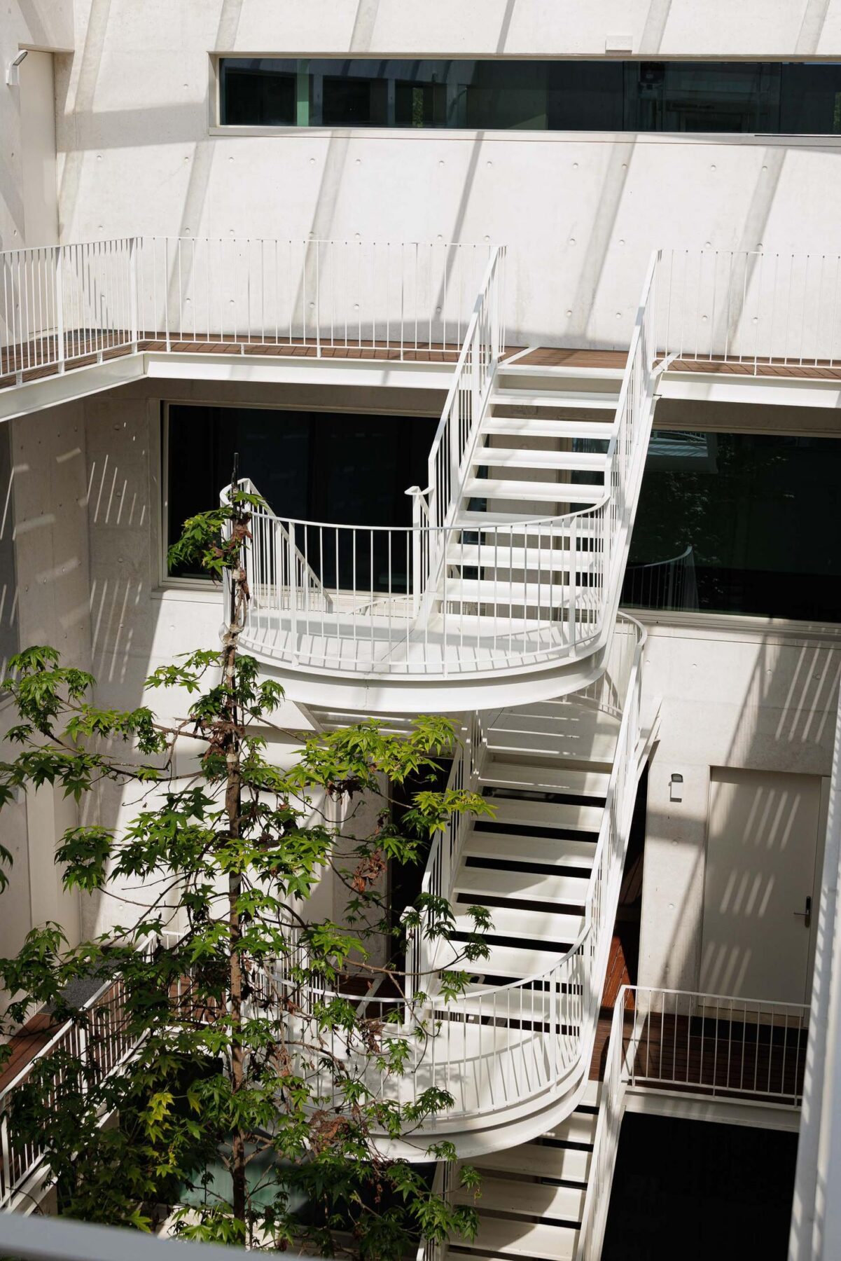 Pátio: Detalhe das escadas em caracol brancas no pátio interior com vegetação. — Assembleia da Granja arquitetura Lousinha Arquitectos em Vila Nova de Gaia