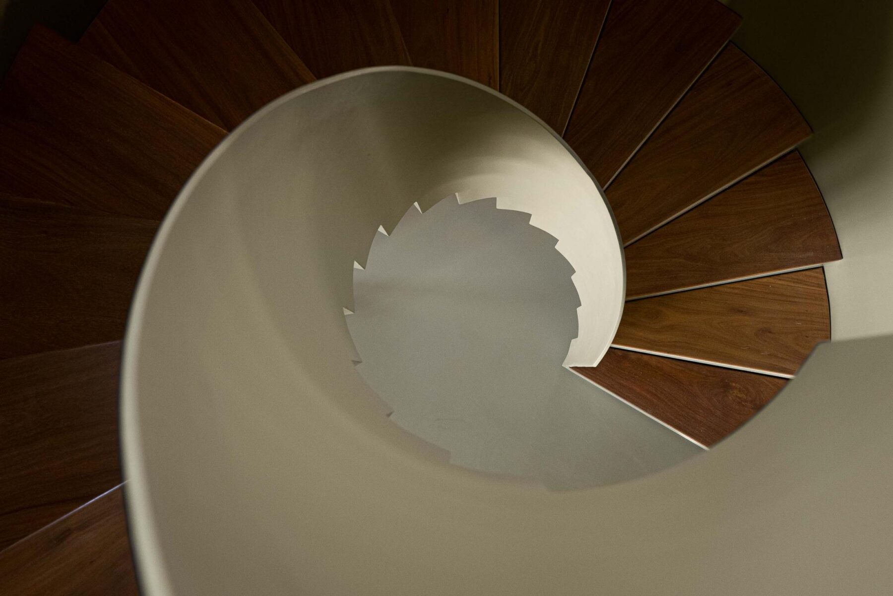 Escadas: Vista de cima da escada em caracol com degraus em madeira. — Assembleia da Granja arquitetura Lousinha Arquitectos em Vila Nova de Gaia