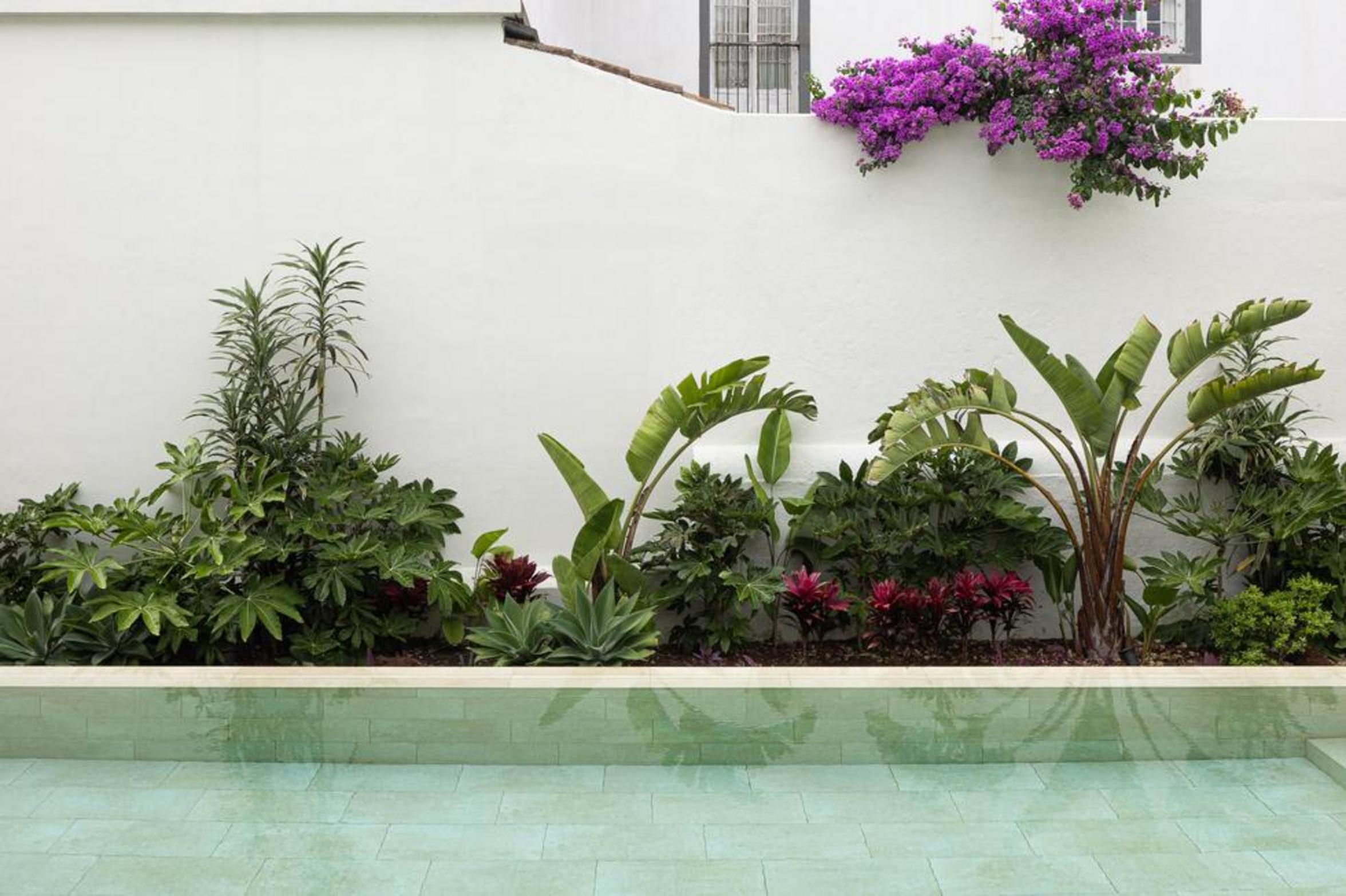 Quarto. Pavimento em madeira clara, paredes brancas e painel azul claro com portas embutidas. Cama cinzenta, cómoda escura — Casa T+A Açores arquitectura Lopes da Costa fotografia Ivo Tavares