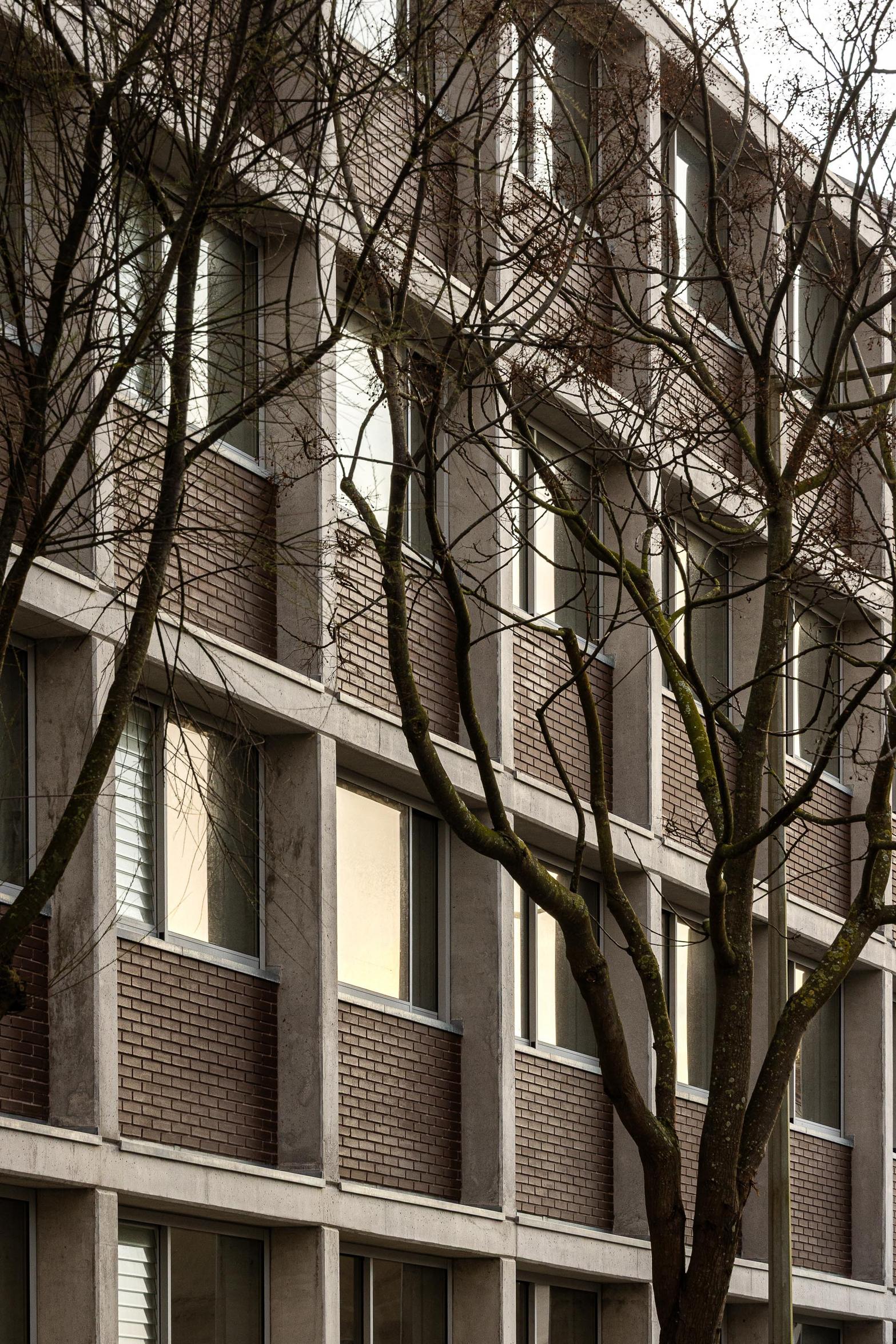 Fachada modular de betão aparente e tijolo maciço, com vãos envidraçados. Árvores despidas em primeiro plano, refletindo a luz — Edifício Multifamiliar Hintze Ribeiro arquitectura Helder da Rocha fotografia Ivo Tavares