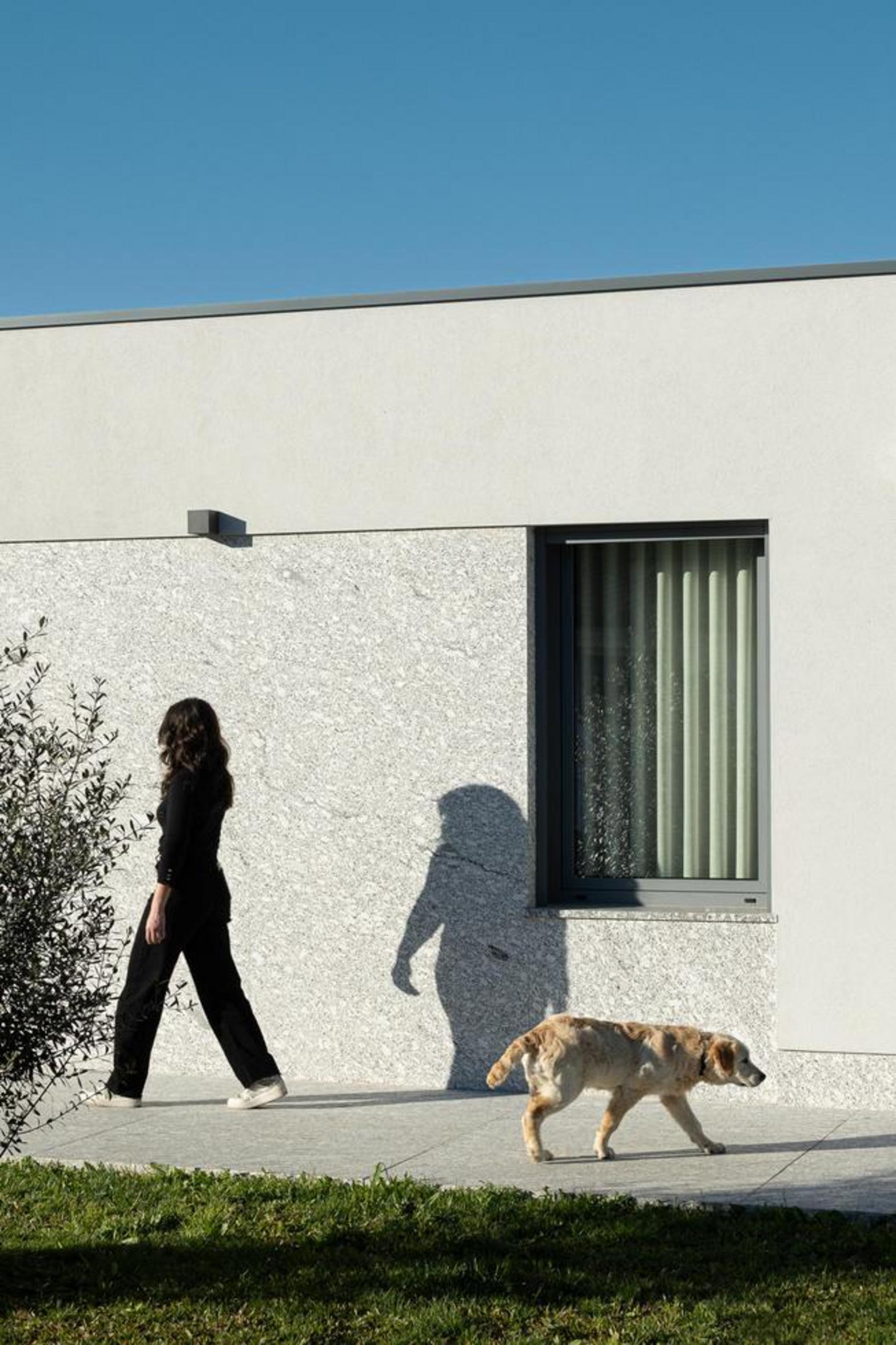 Fachada lateral da moradia, com revestimento branco e embasamento em pedra clara. Vão de janela com caixilharia escura e caminho em betão — Duas Casas em Guimarães arquitectura Félix Arquitectos fotografia Ivo Tavares
