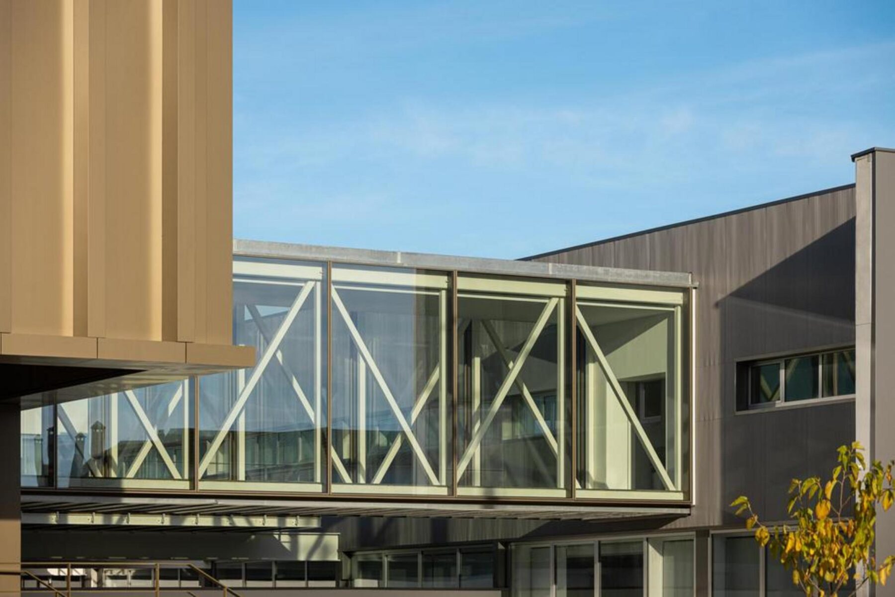 Pavimento em microcimento cinzento no hall, contrastando com a parede em betão e a iluminação zenital que realça a materialidade. — EDIFÍCIO-SEDE PRF arquitectura Impare Arquitectura fotografia Ivo Tavares