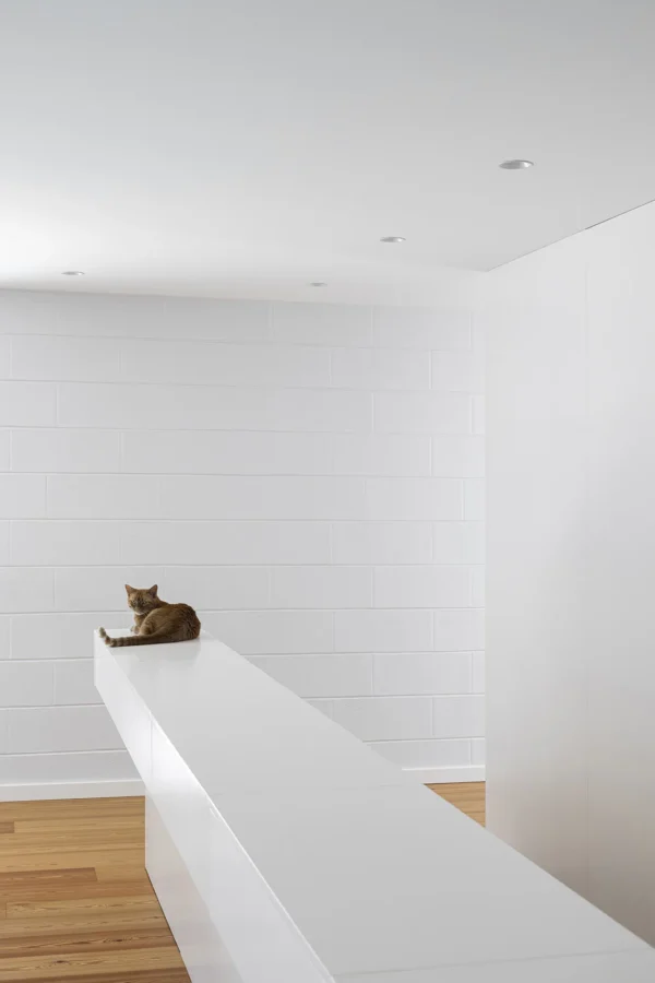 Casa do Sobreiro com arquitetura Skemba e fotografia de Ivo Tavares Studio