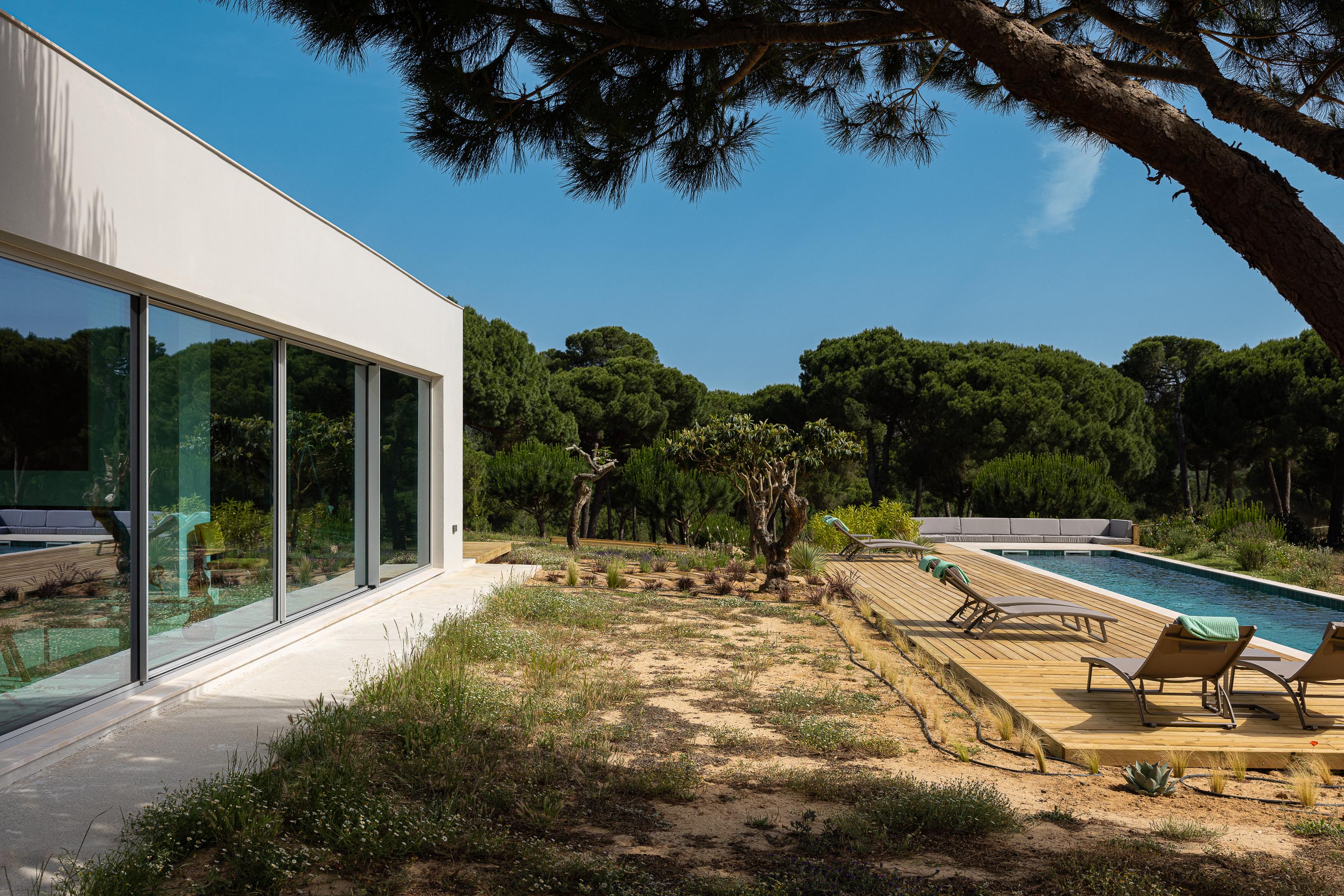 Exterior da moradia com fachada branca, grandes vãos, deck em madeira e piscina, integrada na paisagem verde — Casa M Ariane fotografia Ivo Tavares