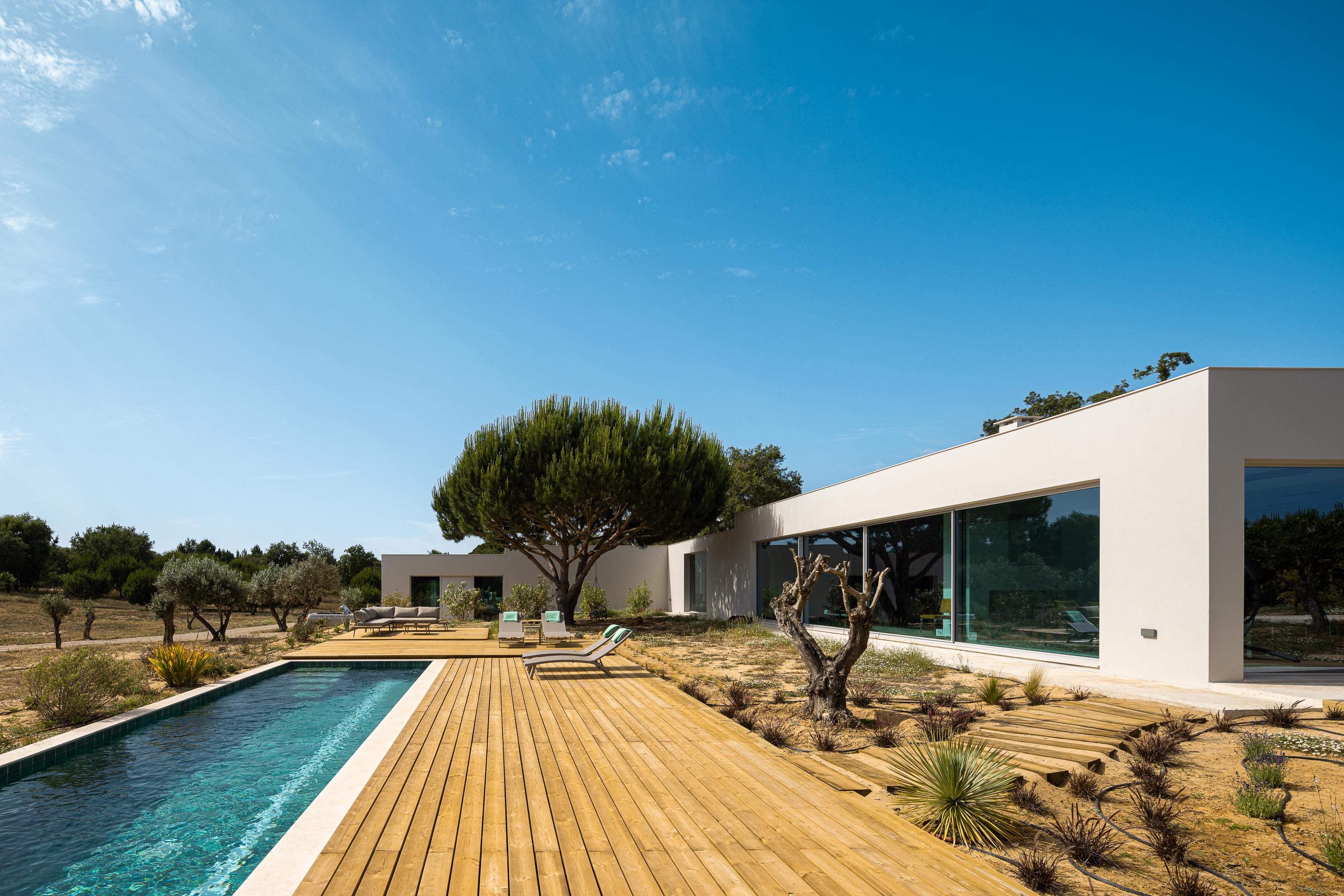 Moradia branca com grandes vãos envidraçados, deck em madeira e piscina, integrada na paisagem alentejana — Casa M Ariane fotografia Ivo Tavares