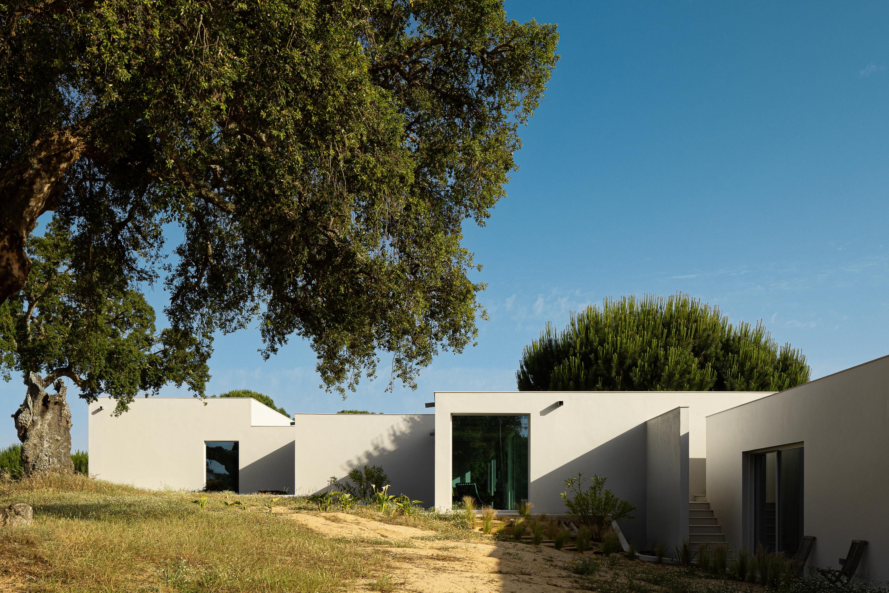 Fachada branca da moradia com vãos envidraçados, implantada na paisagem natural com sobreiros e caminhos de terra — Casa M Ariane fotografia Ivo Tavares