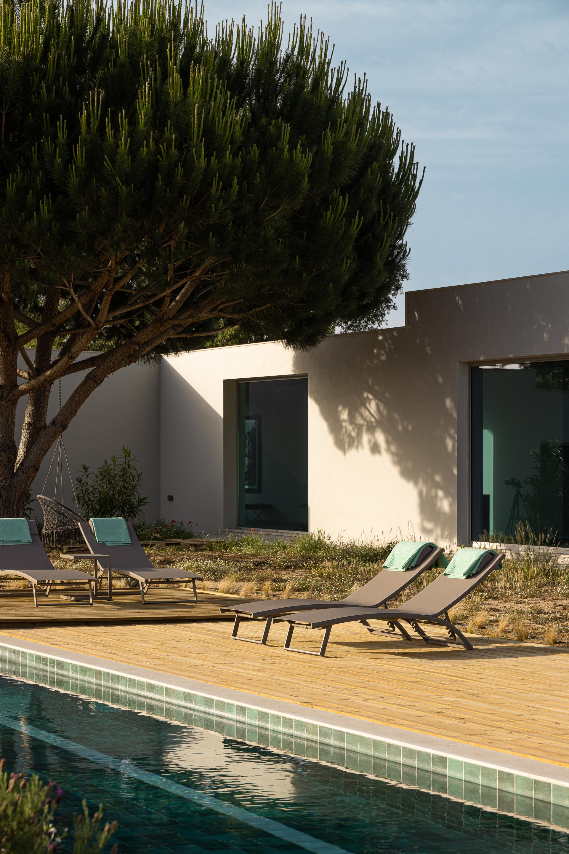 Zona da piscina com deck em madeira e espreguiçadeiras, junto à fachada branca da moradia e um pinheiro — Casa M Ariane fotografia Ivo Tavares