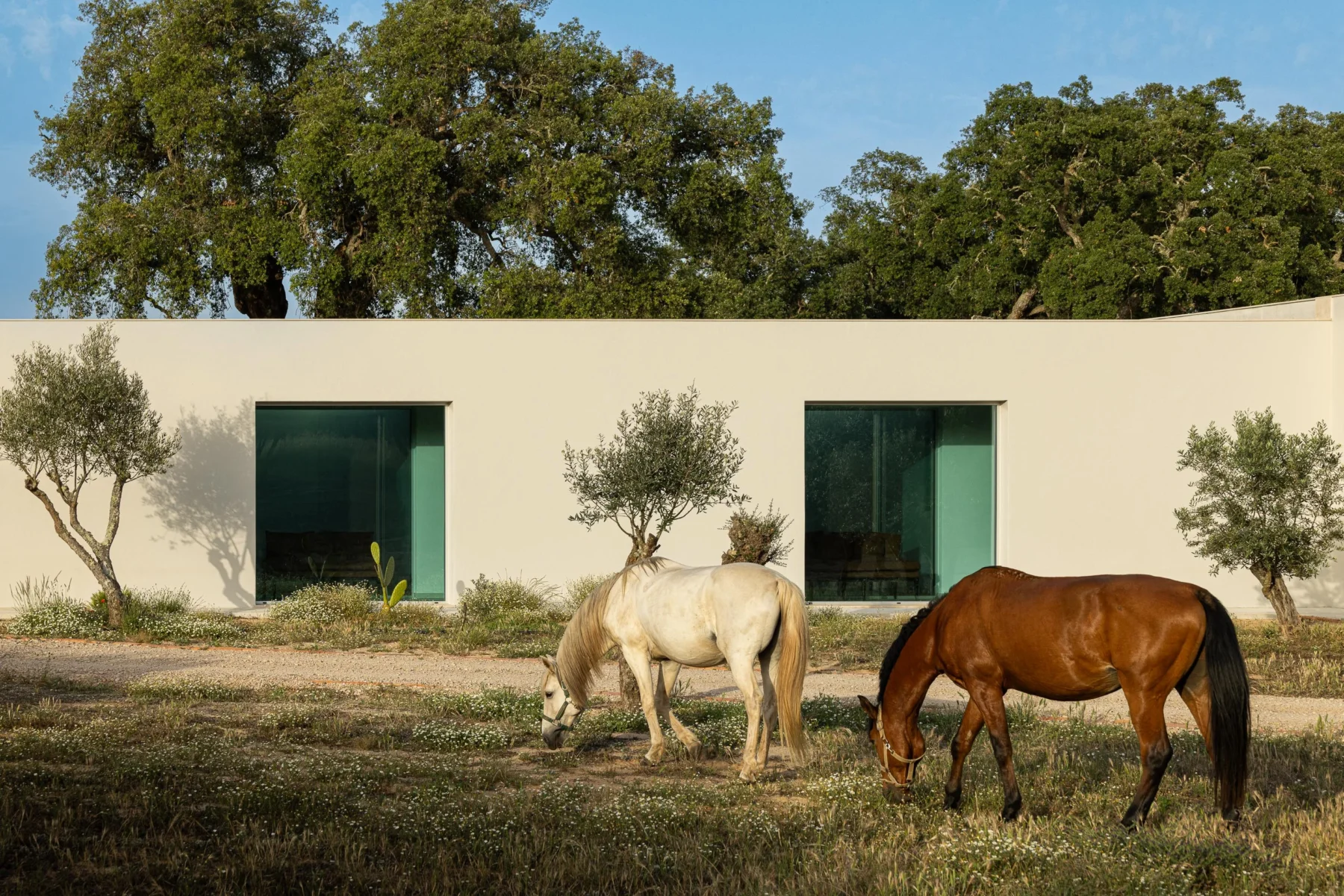 Casa M Ariane — Sabrab Arquitectura em Melides | Fotografia de Arquitetura Ivo Tavares