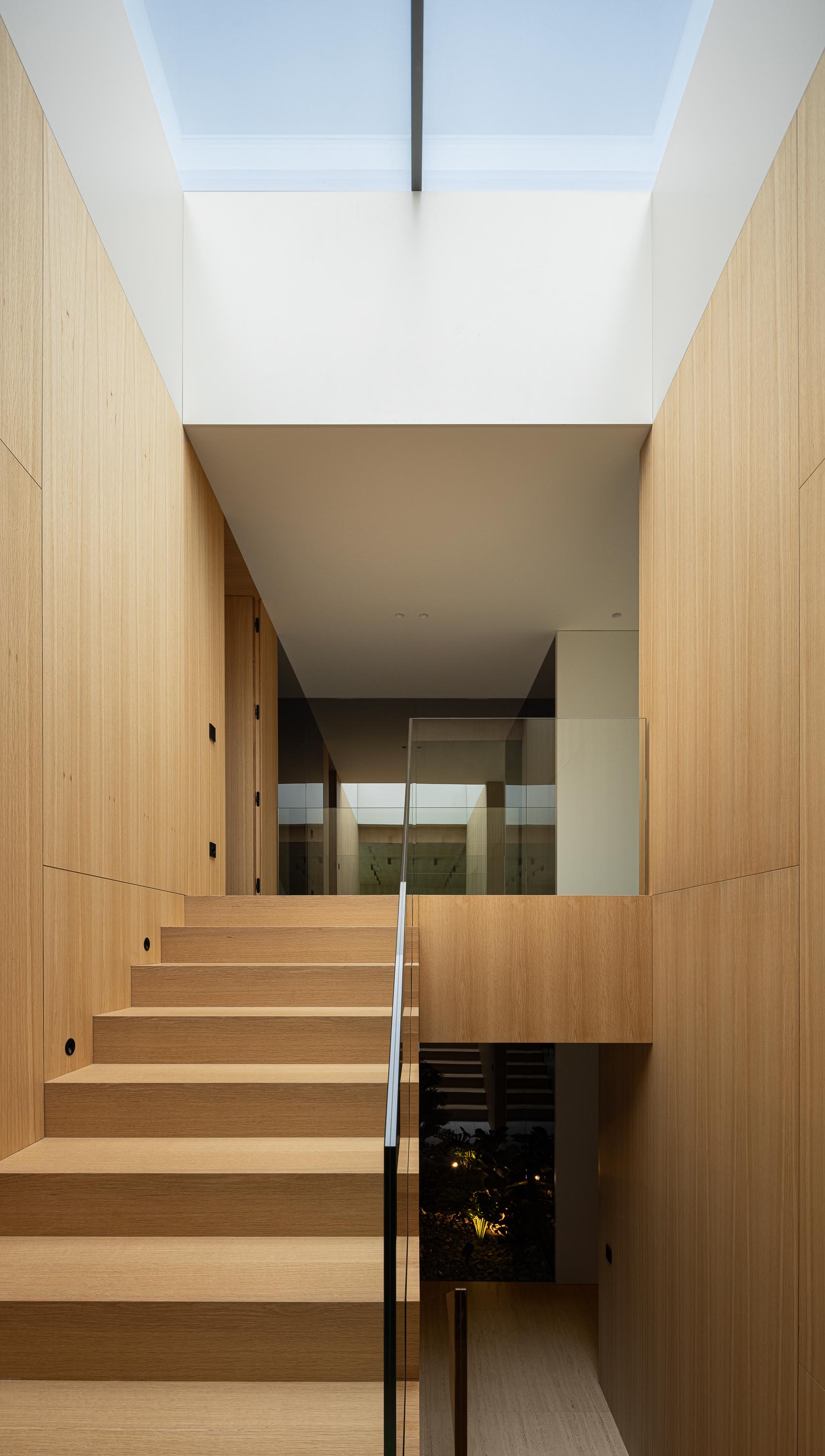 Escadaria em madeira mel com iluminação zenital e guarda-corpos em vidro, conectando pavimentos — Casa FJ arquitectura MIL870 + GRAUON fotografia Ivo Tavares
