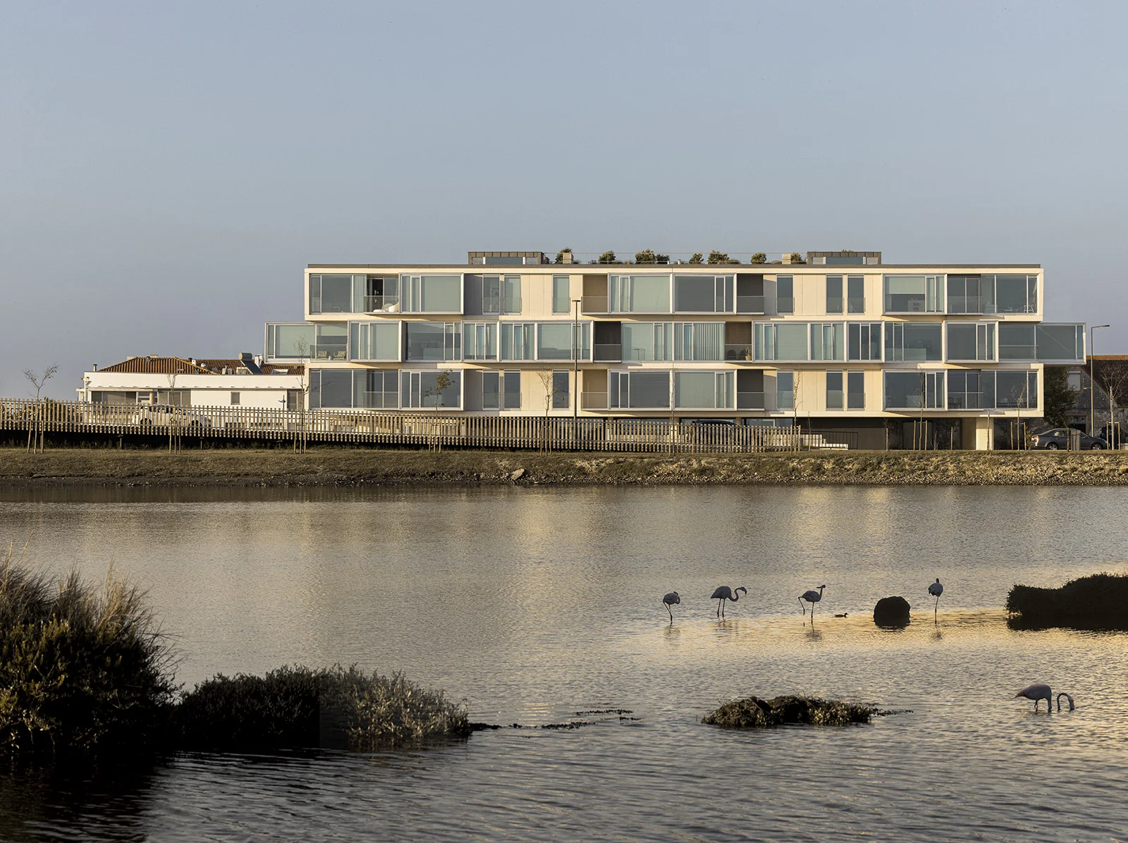 Orizzont em Aveiro do Atelier RVDM e fotografias de Ivo Tavares Studio