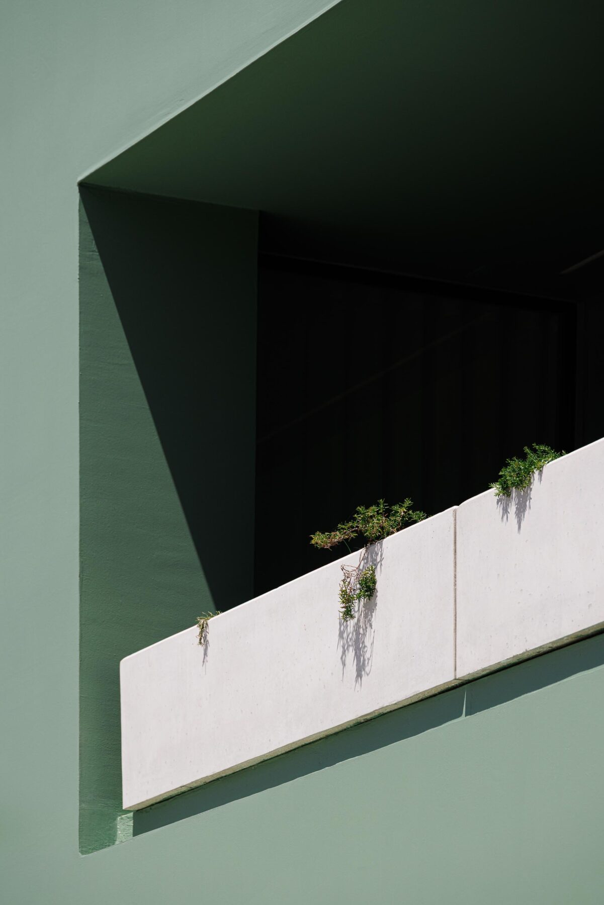 Detalhe de varanda com floreira em betão aparente e vegetação, emoldurada pela fachada verde da moradia — Casa Verde arquitectura M2 Senos Arquitectos fotografia Ivo Tavares