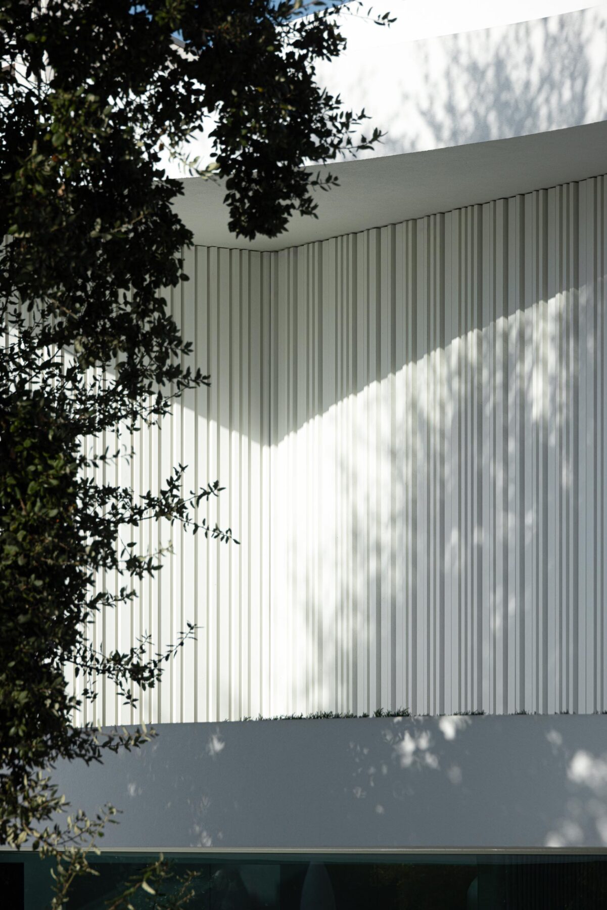 Detalhe de fachada com ripado vertical branco, onde a luz solar projeta sombras orgânicas de vegetação — RiscoWhite arquitectura Risco Singular – Arquitectura, Lda. fotografia Ivo Tavares
