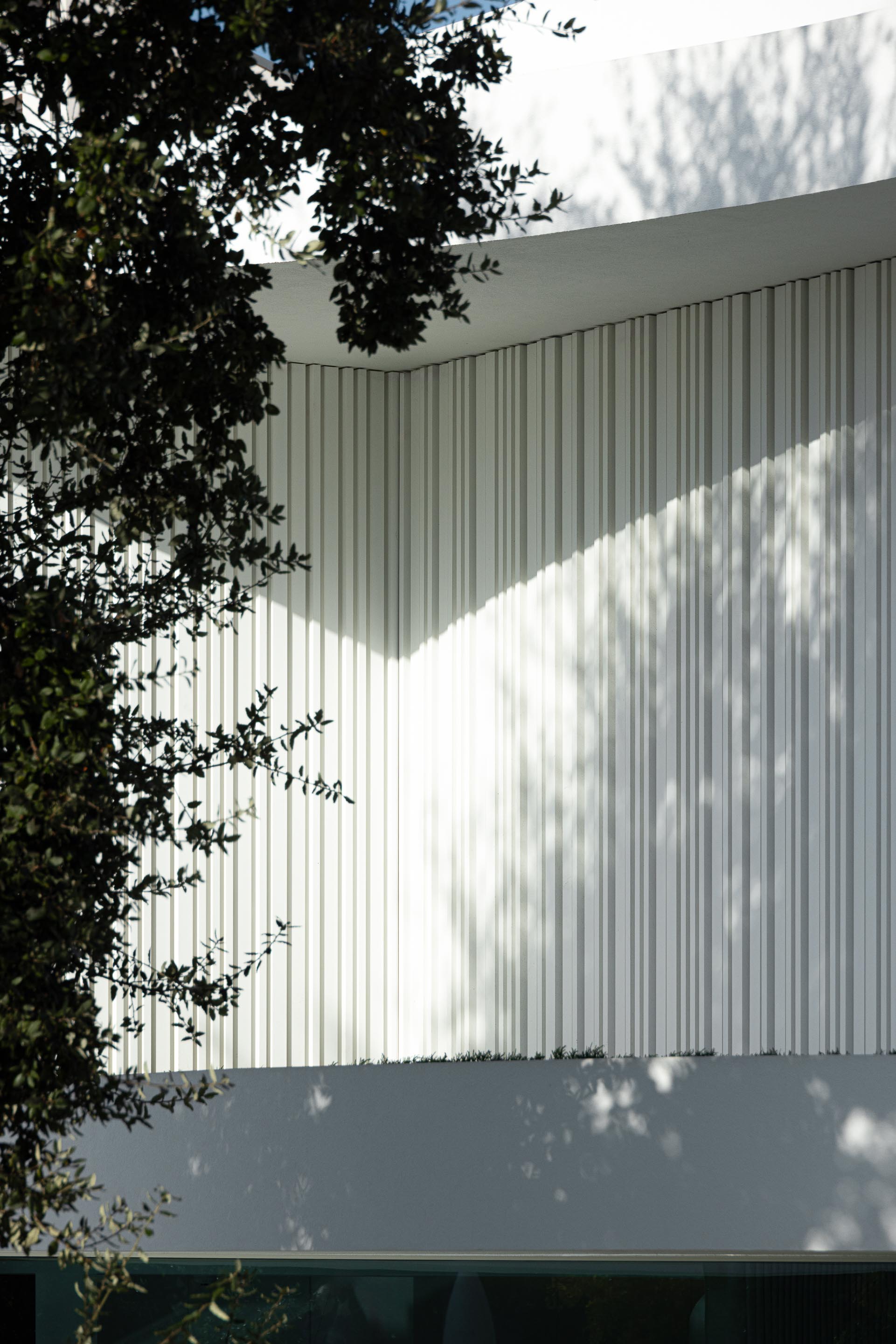 Detalhe de fachada com ripado vertical branco, onde a luz solar projeta sombras orgânicas de vegetação — RiscoWhite arquitectura Risco Singular – Arquitectura, Lda. fotografia Ivo Tavares