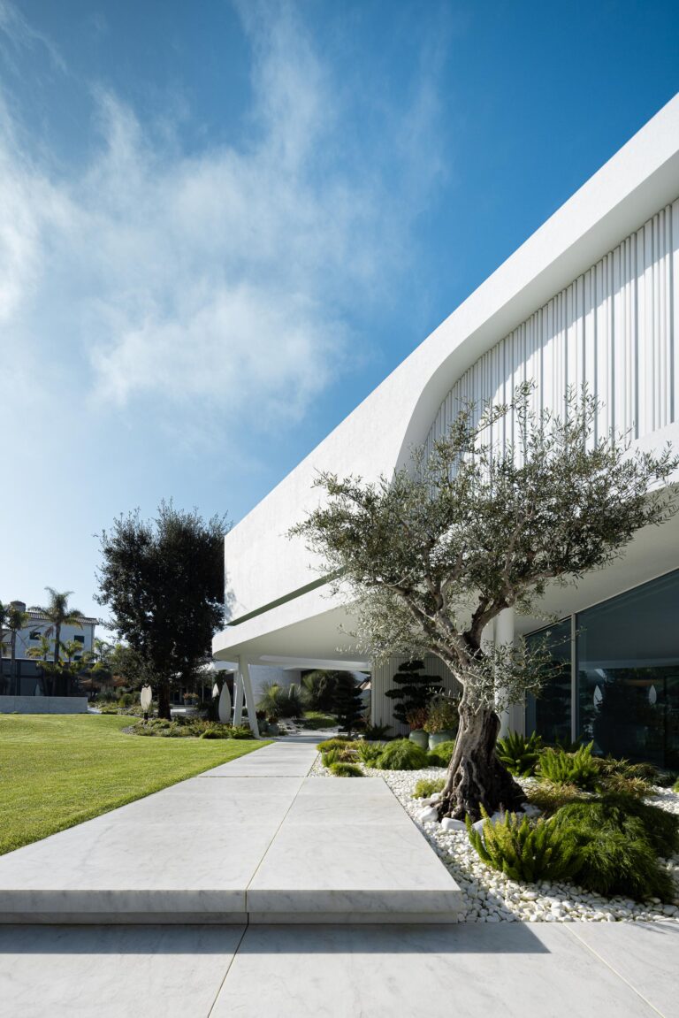 Moradia branca de volumes fluidos, com percurso em pavimento de pedra clara e jardim paisagístico com oliveiras — RiscoWhite arquitectura Risco Singular – Arquitectura, Lda. fotografia Ivo Tavares