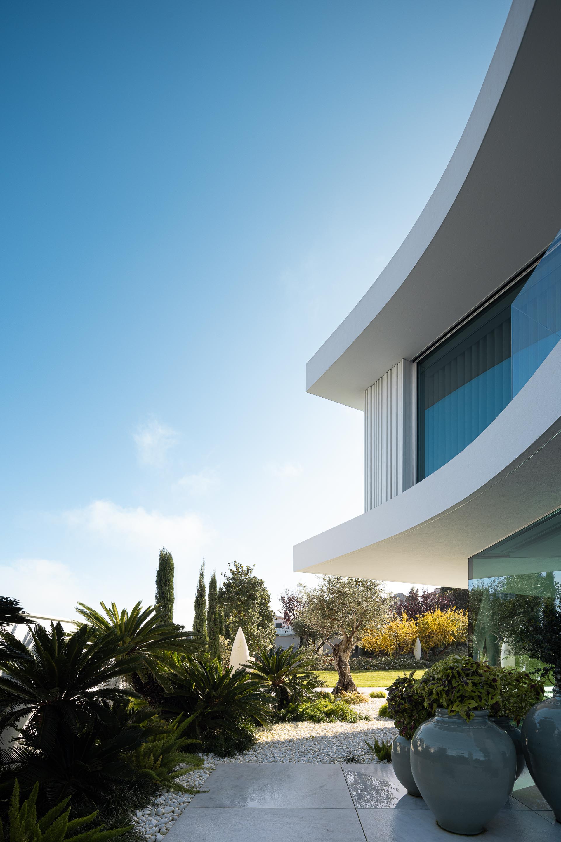 Canto da moradia com volumes curvos e grandes superfícies envidraçadas, integrando-se na paisagem verde — RiscoWhite arquitectura Risco Singular – Arquitectura, Lda. fotografia Ivo Tavares