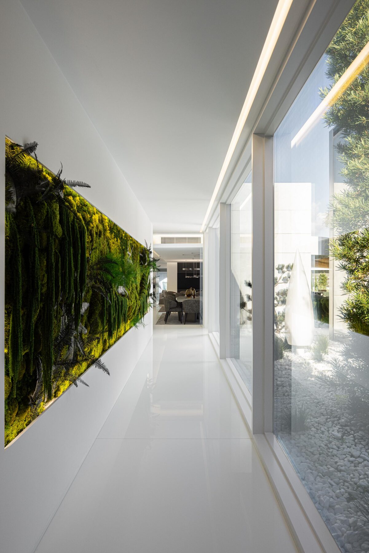 Corredor interior com jardim vertical em musgo e fetos, e parede envidraçada com vista para o pátio — RiscoWhite arquitectura Risco Singular – Arquitectura, Lda. fotografia Ivo Tavares