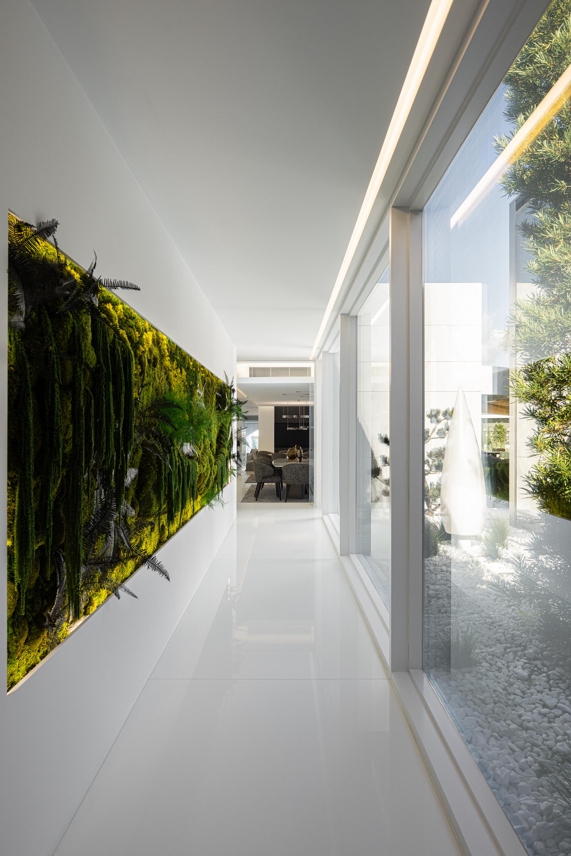 Corredor interior com jardim vertical em musgo e fetos, e parede envidraçada com vista para o pátio — RiscoWhite arquitectura Risco Singular – Arquitectura, Lda. fotografia Ivo Tavares