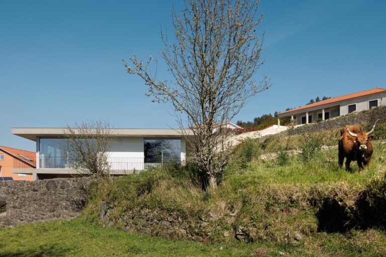 Moradia com fachada em betão aparente e vidro, elevada sobre o terreno, integrada na paisagem rural com vegetação — CASA COQUEIRA arquitectura Tiago Sousa Arquitecto fotografia Ivo Tavares