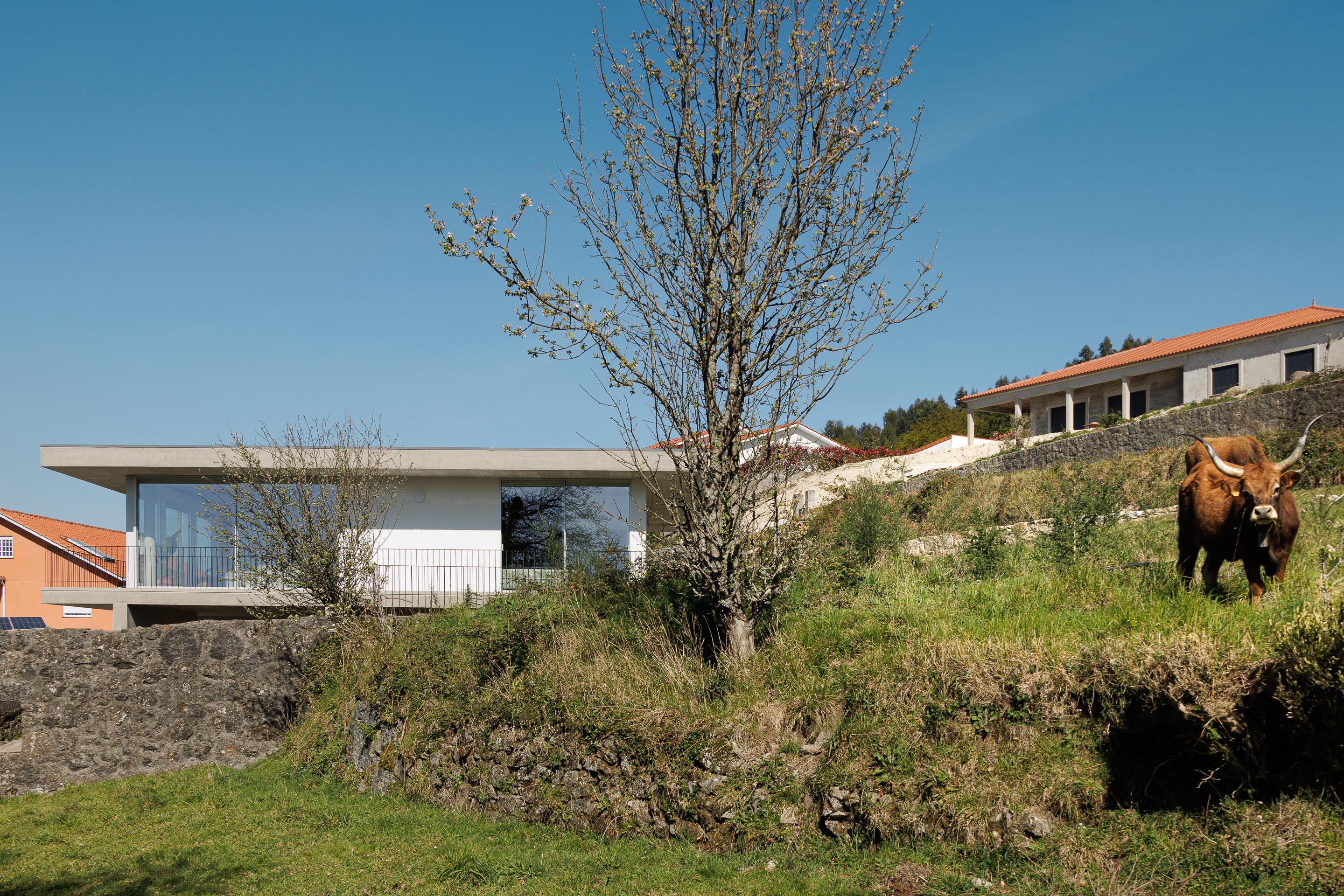 Moradia com fachada em betão aparente e vidro, elevada sobre o terreno, integrada na paisagem rural com vegetação — CASA COQUEIRA arquitectura Tiago Sousa Arquitecto fotografia Ivo Tavares