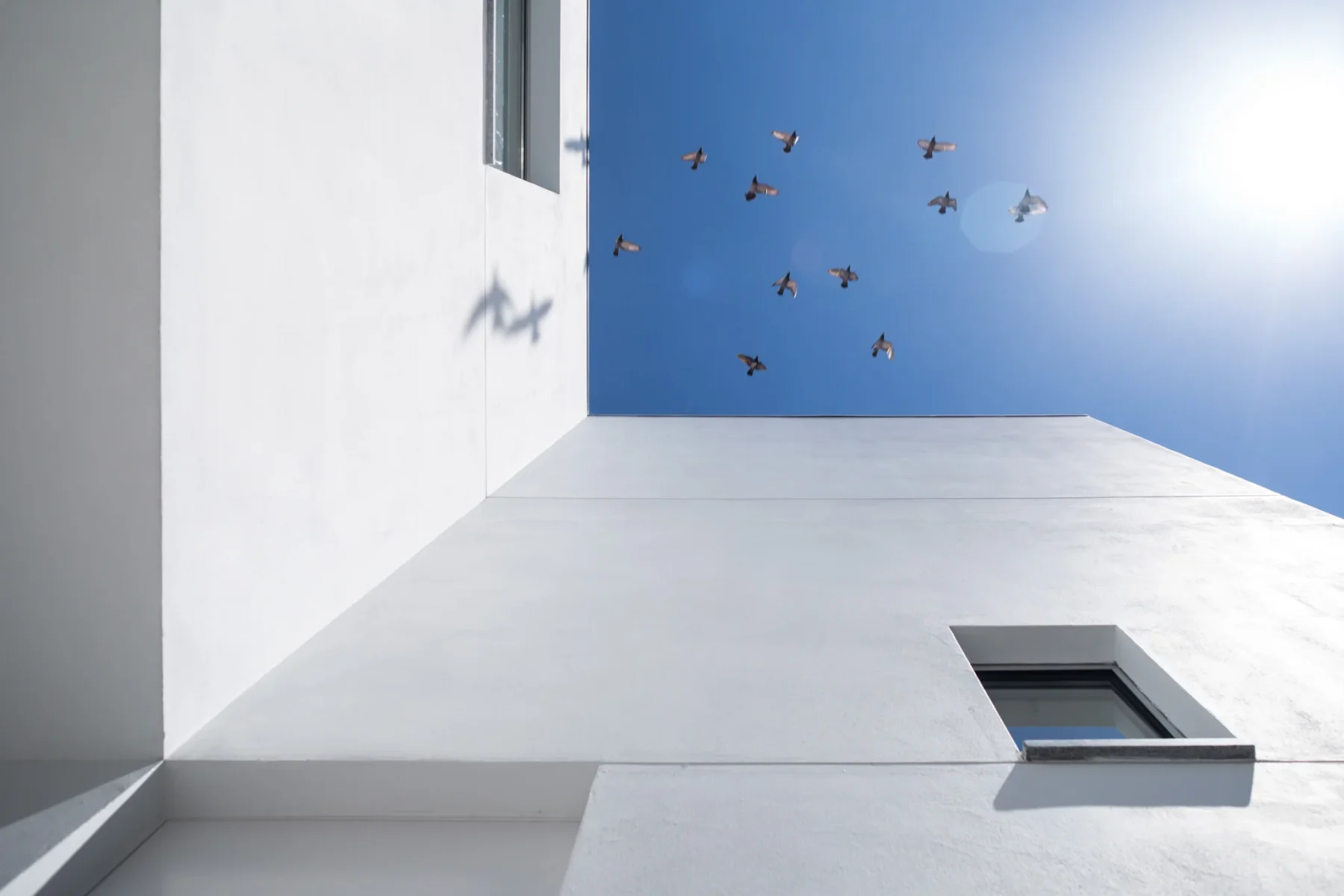 Casa em Matosinhos — Nu.ma em Matosinhos | Fotografia de Arquitetura Ivo Tavares